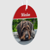Cute Wirehair Pointer Dog Holiday Christmas Photo オーナメント (正面)