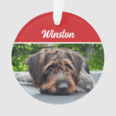 Cute Wirehair Pointer Dog Holiday Christmas Photo オーナメント (正面)