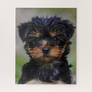 Cute Yorkie Puppy ジグソーパズル