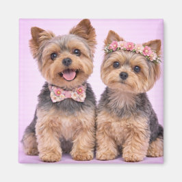 Cute Yorkshire Terrier Couple Valentine Magnet マグネット