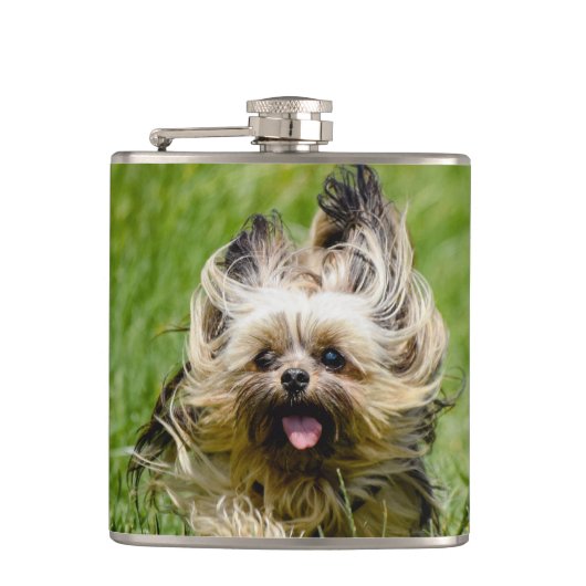 Cute Yorkshire Terrier Running Through Grass フラスク (正面)