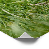 Cute Yorkshire Terrier Running Through Grass ポスター (角)