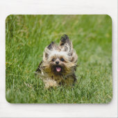 Cute Yorkshire Terrier Running Through Grass マウスパッド (正面)