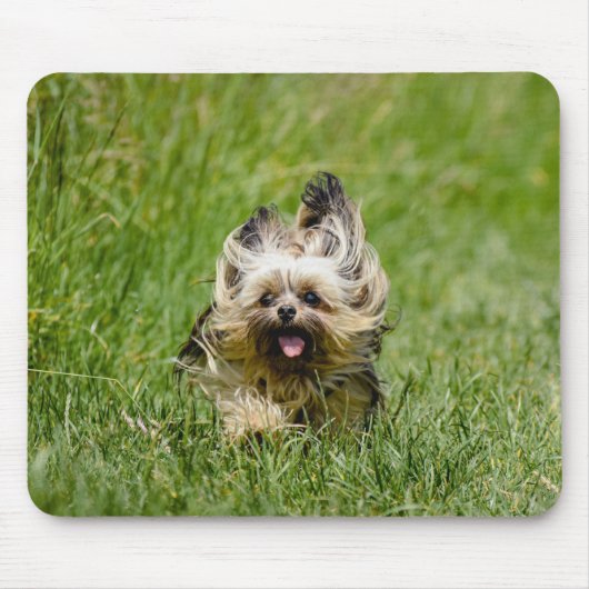 Cute Yorkshire Terrier Running Through Grass マウスパッド (正面)