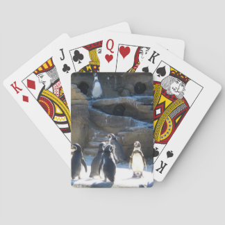 Cute zoo penquins playing cards トランプ