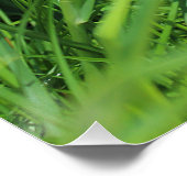 Cuteness ポスター (コーナー)