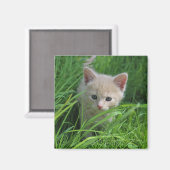 Cuteness マグネット (正面/裏面)