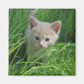 Cuteness マグネット (正面)