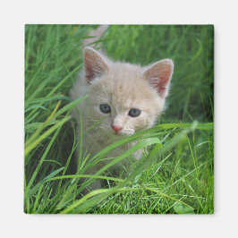 Cuteness マグネット