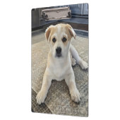 Cuteness Puppy Overloadクリップボード クリップボード (左)