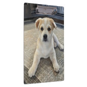 Cuteness Puppy Overloadクリップボード クリップボード (右)