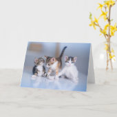 Cutest Baby Animals | 3 Tabby Kittens カード (黄色い花)
