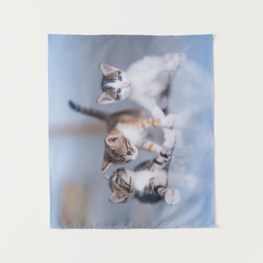 Cutest Baby Animals | 3 Tabby Kittens タペストリー (正面)