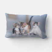 Cutest Baby Animals | 3 Tabby Kittens ランバークッション (裏面)