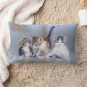Cutest Baby Animals | 3 Tabby Kittens ランバークッション (ブランケット)