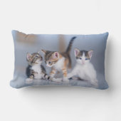 Cutest Baby Animals | 3 Tabby Kittens ランバークッション (正面)