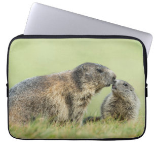 Cutest Baby Animals Alpine Marmot Family ラップトップスリーブ
