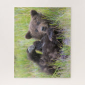 Cutest Baby Animals | Baby Brown Bear Cub ジグソーパズル (縦)
