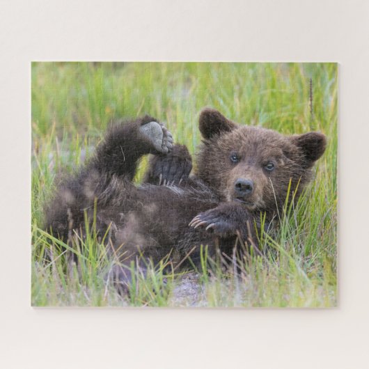 Cutest Baby Animals | Baby Brown Bear Cub ジグソーパズル (横)