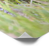 Cutest Baby Animals | Baby Brown Bear Cub ポスター (角)