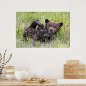 Cutest Baby Animals | Baby Brown Bear Cub ポスター (キッチン)