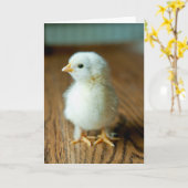 Cutest Baby Animals | Baby Chick カード (黄色い花)