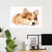 Cutest Baby Animals | Baby Corgi Puppy Portrait ポスター (ホームオフィス)