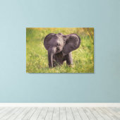 Cutest Baby Animals | Baby Elephant Kenya Africa キャンバスプリント (インサイチュ (ウッドフロア))