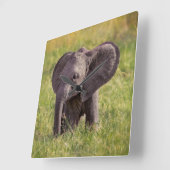 Cutest Baby Animals | Baby Elephant Kenya Africa スクエア壁時計 (傾斜)