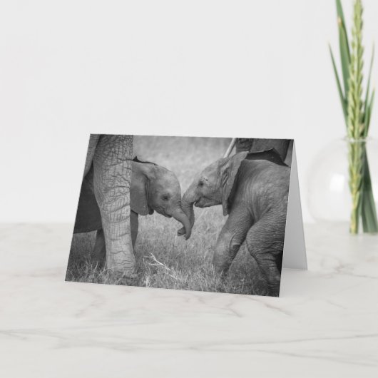 Cutest Baby Animals | Baby Elephants Greeting カード (正面)