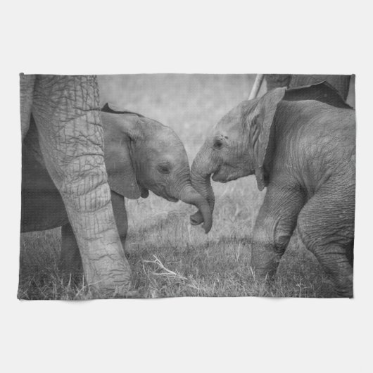 Cutest Baby Animals | Baby Elephants Greeting キッチンタオル (横)