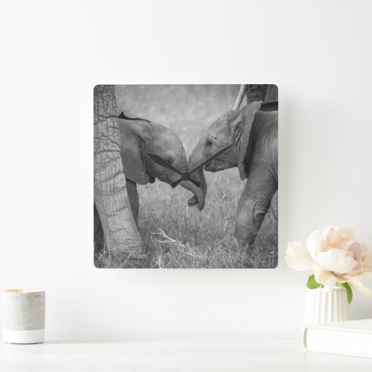 Cutest Baby Animals | Baby Elephants Greeting スクエア壁時計 (ホーム)