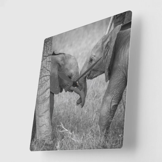 Cutest Baby Animals | Baby Elephants Greeting スクエア壁時計 (傾斜)