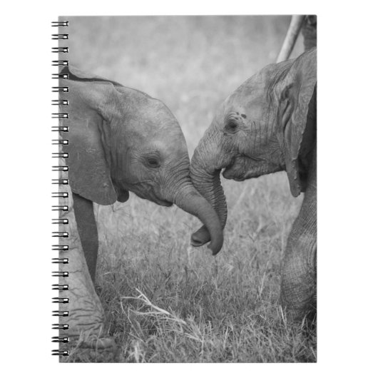 Cutest Baby Animals | Baby Elephants Greeting ノートブック (正面)