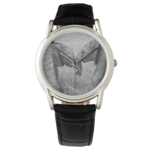 Cutest Baby Animals | Baby Elephants Greeting 腕時計 (正面)
