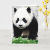 Cutest Baby Animals | Baby Panda Bear カード (黄色い花)