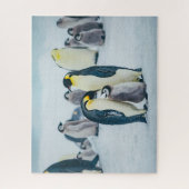 Cutest Baby Animals | Baby Penguin Feeding ジグソーパズル (縦)