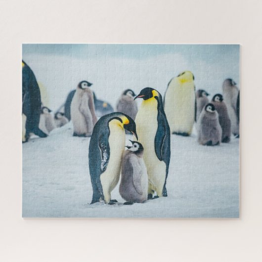 Cutest Baby Animals | Baby Penguin Feeding ジグソーパズル (横)