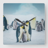 Cutest Baby Animals | Baby Penguin Feeding スクエア壁時計 (正面)