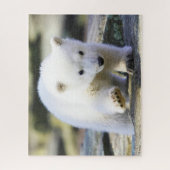 Cutest Baby Animals | Baby Polar Bear Cub ジグソーパズル (縦)