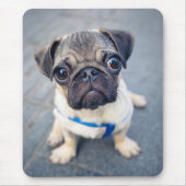 Cutest Baby Animals | Baby Pug マウスパッド (正面)