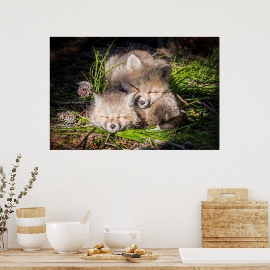 Cutest Baby Animals | Baby Red Fox Kits Sleeping ポスター (キッチン)