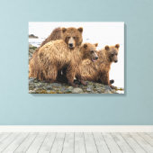 Cutest Baby Animals | Bear & Cubs キャンバスプリント (インサイチュ (ウッドフロア))