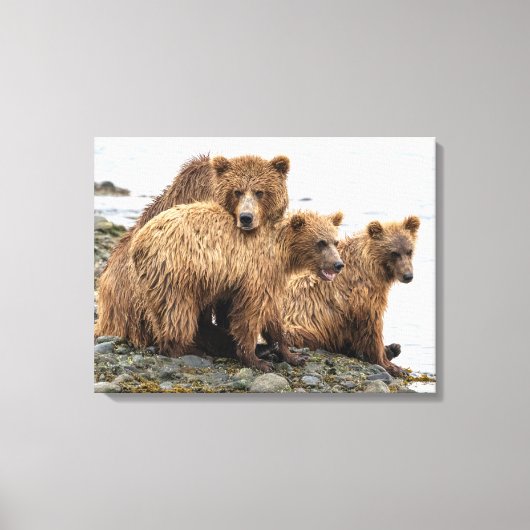 Cutest Baby Animals | Bear & Cubs キャンバスプリント (正面)