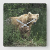 Cutest Baby Animals | Bear Mama Bear & Her Cubs スクエア壁時計 (正面)