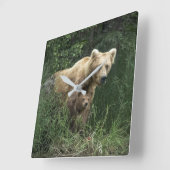 Cutest Baby Animals | Bear Mama Bear & Her Cubs スクエア壁時計 (傾斜)