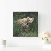 Cutest Baby Animals | Bear Mama Bear & Her Cubs スクエア壁時計 (ホーム)