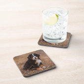 Cutest Baby Animals | Bernese Mountain Dog コースター (右側)