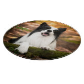 Cutest Baby Animals | Black & White Border Collie カッティングボード (角)