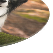 Cutest Baby Animals | Black & White Border Collie カッティングボード (角)